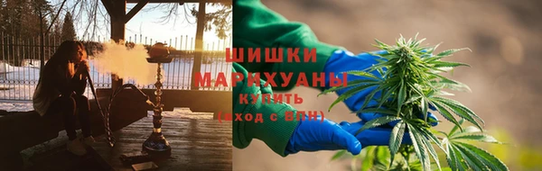 амф Арсеньев